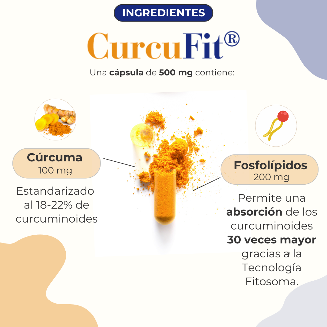 Curcumin Merida CurcuFit® - Curcumina Meriva® Concentrada - Para procesos inflamatorio ...
