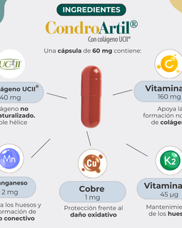 CondroArtil com colágeno UC-II <sup>®</sup>
